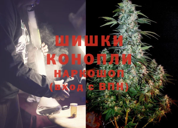 бошки Богданович