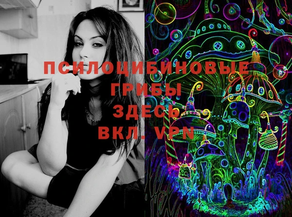 тгк Бронницы