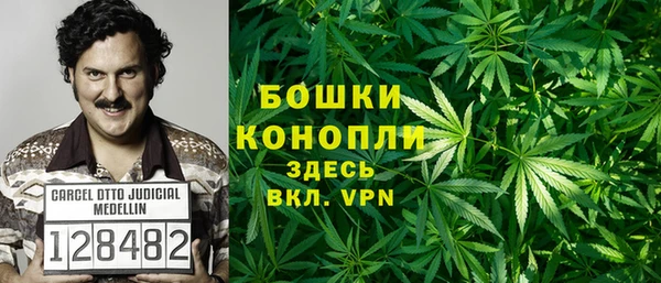 бошки Богданович