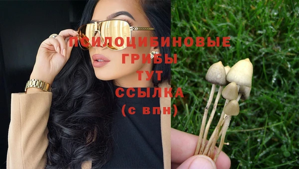 тгк Бронницы