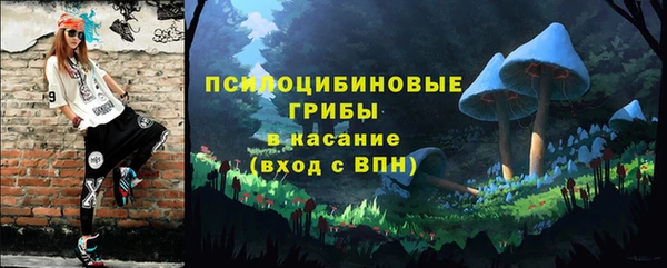 бошки Богданович