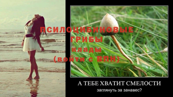 бошки Богданович
